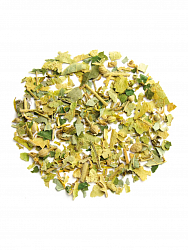 Japanese Linden