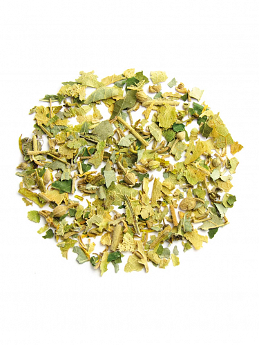 Japanese Linden