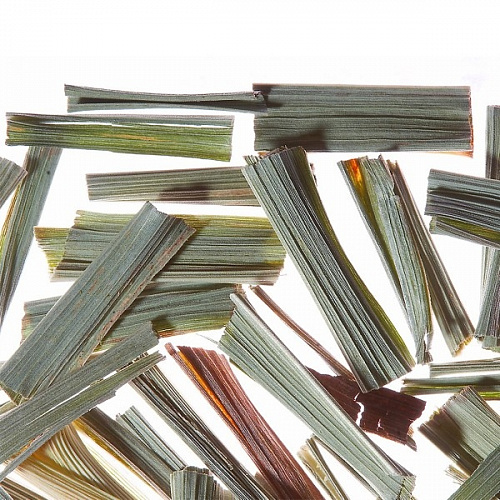 Lemongrass