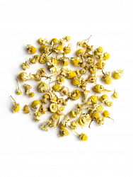 Chamomile Meadow