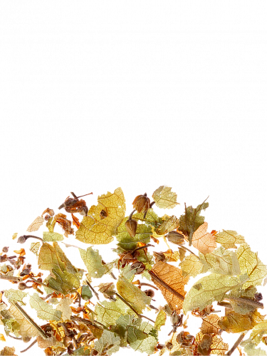 Essence of Fruit